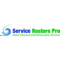 Service Restore Pro image 4